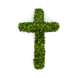 Preserved Boxwood Large Cross  - Preorder by Friday and Save $20!